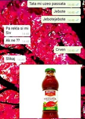 Momku se pohvalila: “Tata mi je kupio Passata”, a onda mu je poslala sliku (FOTO)
