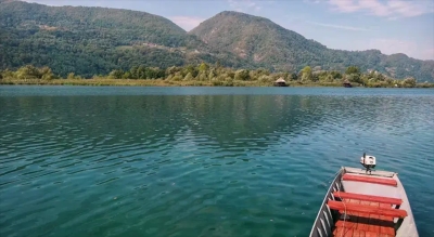 Језиви призори на обали Дрине: Пронађено 10 угинулих свиња