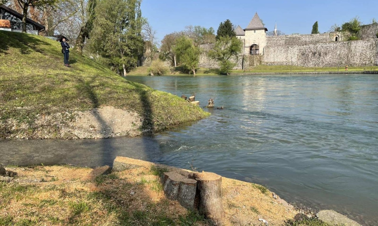 Banjalučanin reagovao na sječu stabala uz Vrbas: Moj otac ih je sadio