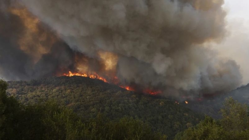 Širom Grčke desetine novih šumskih požara: Na teren su upućene velike vatrogasne jedinice i volonteri