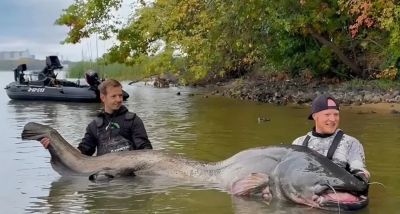 Njemački ribolovac upecao soma dugog 2,92 metra