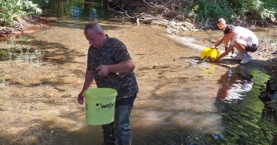 U pritoke Sane pušteno 250 kilograma potočne pastrmke