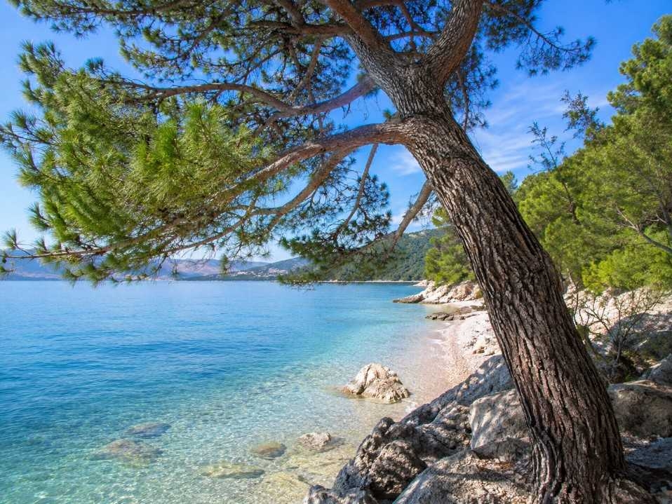 Bor pao na kupače na plaži u Hrvatskoj, povrijeđeno dvoje odraslih i dvoje djece