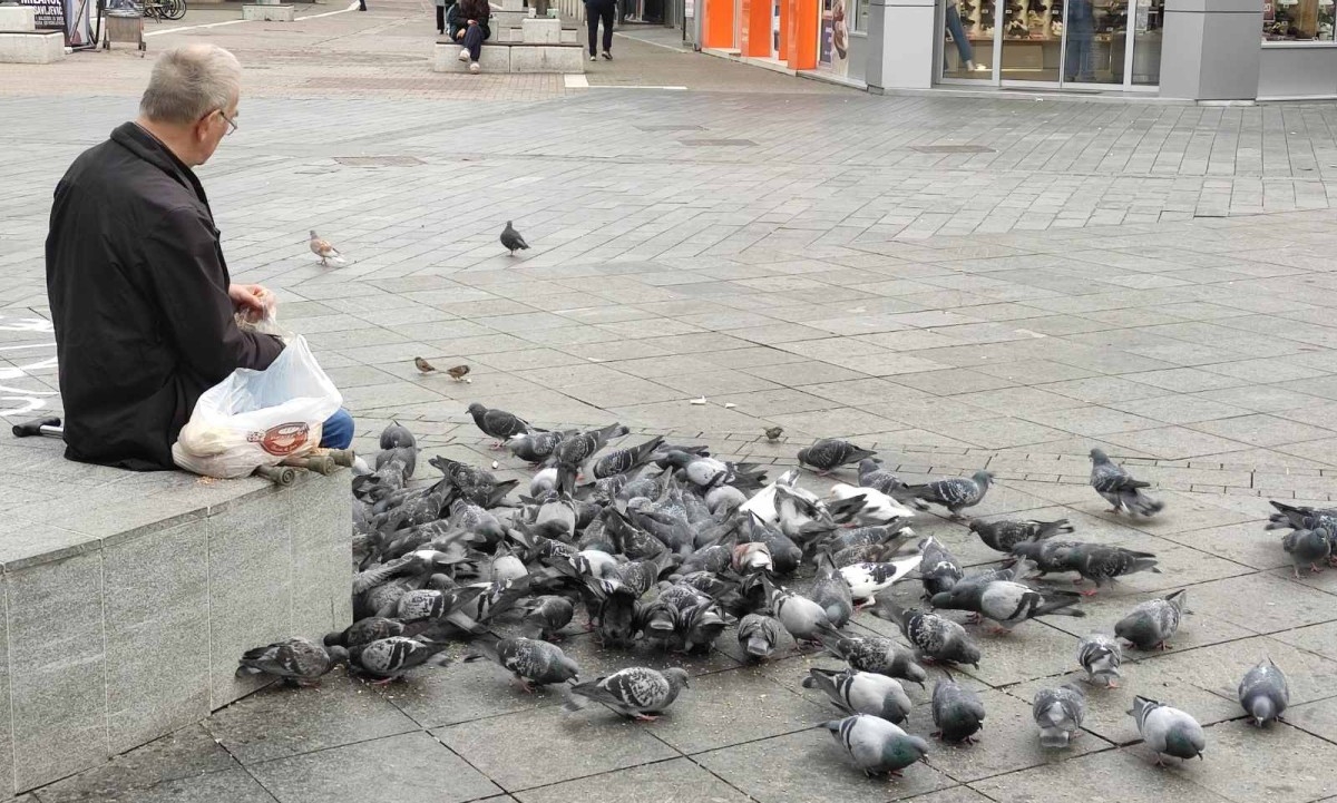 Prolaznici i turisti oduševljeni: Banjalučanin na Trgu Krajine redovo hrani golubove