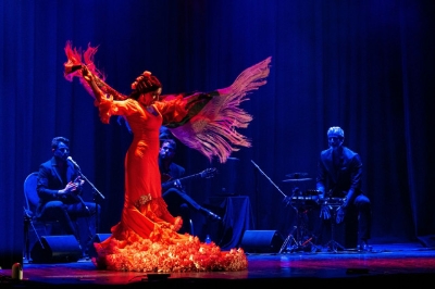 Puerto Flamenco donosi duh Andaluzije u Mostar