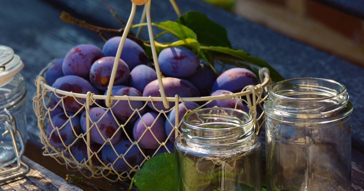 Najlakši recept za domaći pekmez od šljiva – bez miješanja na šporetu