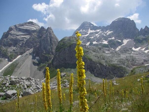 Državljanka Srbije poginula tokom planinarenja na Prokletijama