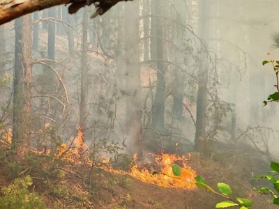 Aktivno više od 30 požara na teritoriji Srbije