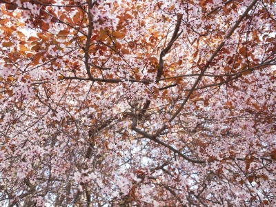 Promjenljivo oblačno uz sunčane periode