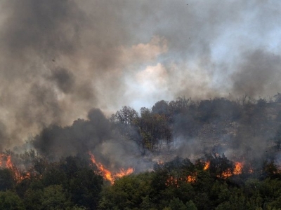 Na području Kranjske Gore u Sloveniji izbio šumski požar, gase ga i avioni