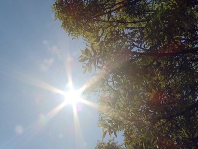I sutra sunčano i vruće, temperatura do 42 stepena