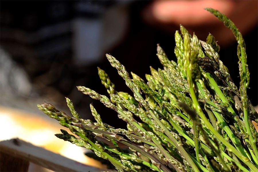 STRUČNJACI UPOZORAVAJU: Kuke ili šparoge imaju nevjerovatne zdravstvene dobrobiti, ali ova grupa ljudi ih ne bi smjela jesti...
