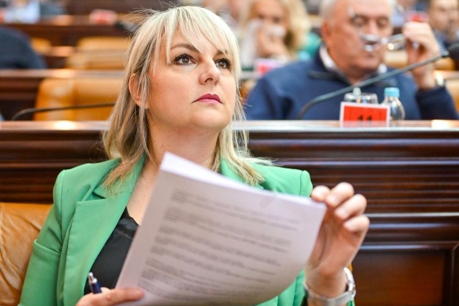 SAVIĆ-BANJAC SE OBRUŠILA NA SNSD: 'Ako treba zavući ruku u džep...'