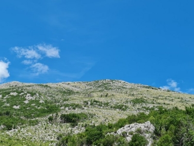 U petak sunčano, uz malu oblačnost i temperaturu do 39 stepeni (VIDEO)