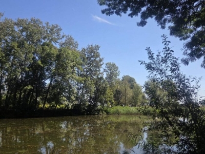 U utorak sunčano, do 36 stepeni