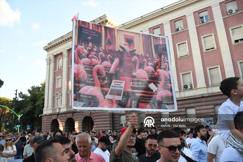 Zašto se protesti u Albaniji zovu „flamingo revolucija“?