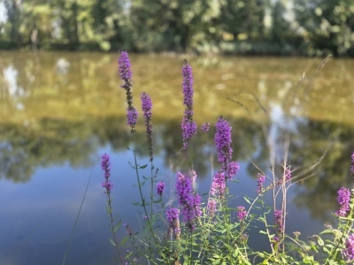 Pogledajte kakvo nas vrijeme očekuje od četvrtka
