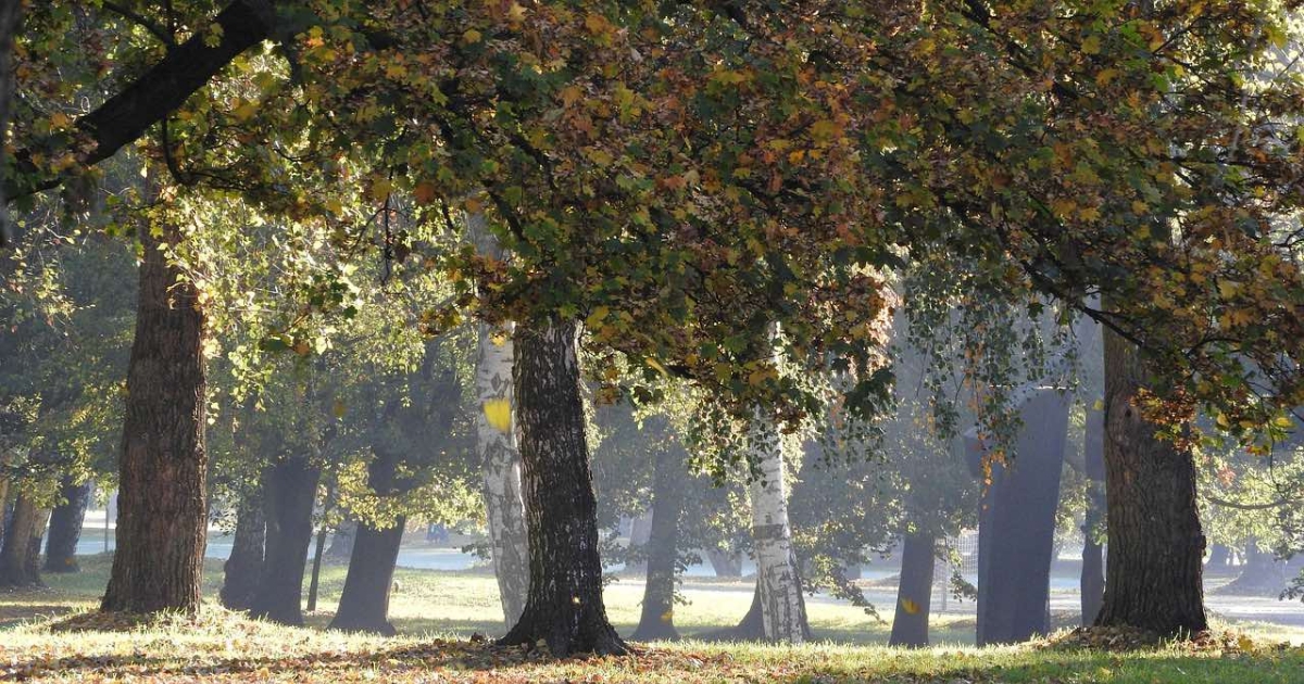 Srednjoškolke našle lobanju iz 14. vijeka