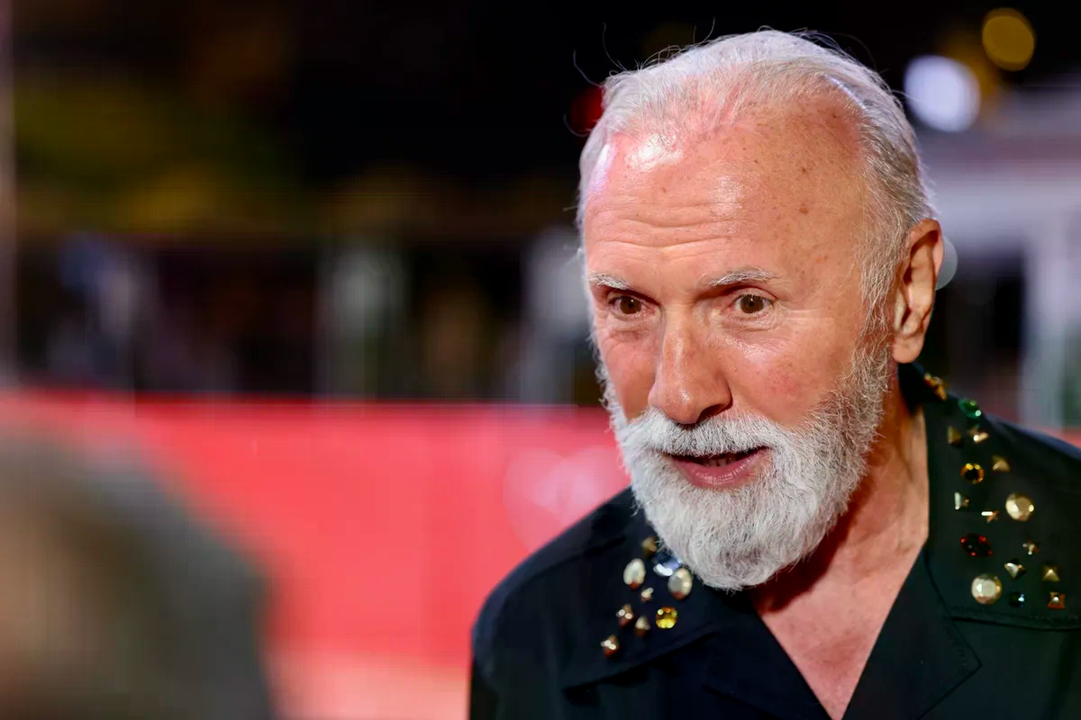 Oglas na OLX-u: Čekanje u redu za karte za koncert Dine Merlina