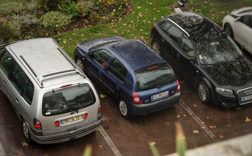 Upozorenje za vozače: Nikada nemojte parkirati ispod drveta