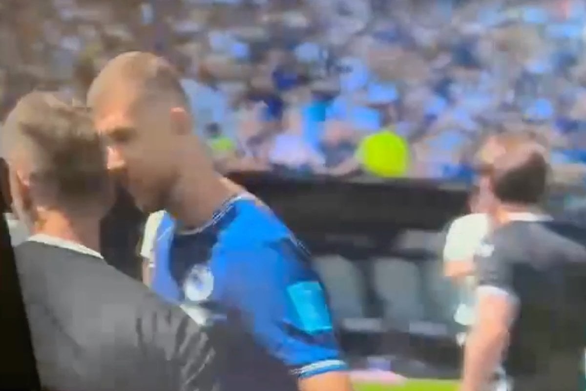 Svi su slavili, ali vidno ljuti Džeko imao je šta reći Hrgoviću!