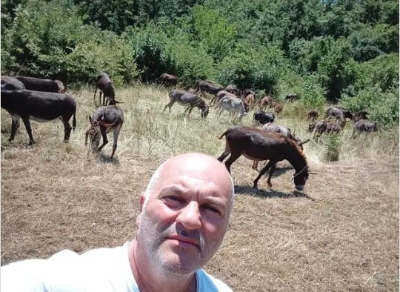 DA LI SU OVO NAJSREĆNIJI MAGARCI NA SVIJETU? Slušaju Vivaldija, dobijaju uspavanke, a ulaz na farmu je kilogram šargarepe
