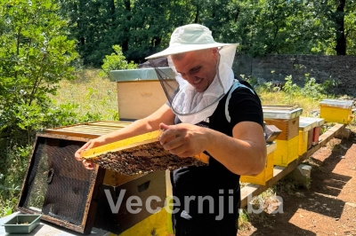 Velimir Begić otkriva: Kakvi su trenutačni prinosi meda, kako se pčelari bore protiv klimatskih promjena i u čemu je budućnost?