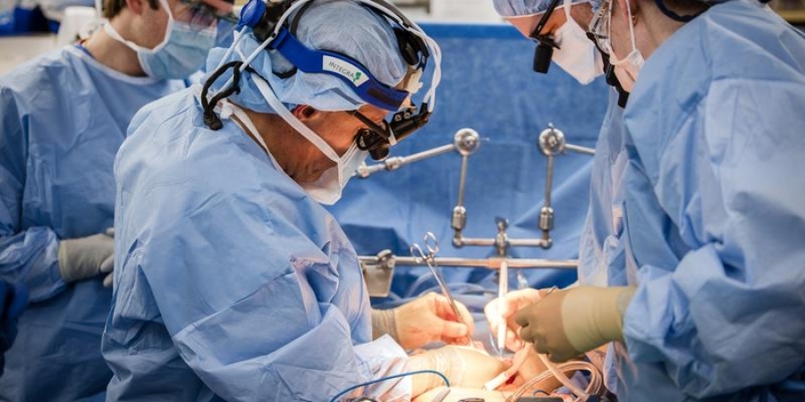 NESVAKIDAŠNJI SLUČAJ U BANJOJ LUCI: Doktor objavio fotografiju dugačkog crva koji je odstranjen iz kapka pacijenta (FOTO)