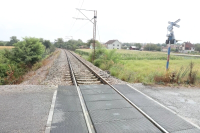 PTICA IZAZVALA HAOS NA ŽELJEZNIČKOJ STANICI Električni luk od 25.000 volti probušio krov lokomotive