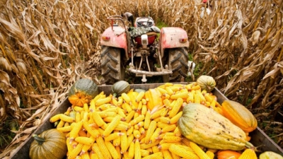 Robot sije kukuruz bez čovjeka: Slovenija pokazala kako izgleda budućnost njive