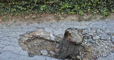 Banjalučani riješili rupu na putu: Kad neće Grad, hoće panj! FOTO