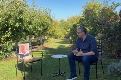 Vučić objavio video kako razgovara s kamenom za kupus