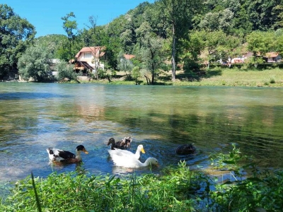Danas sunčano i vruće, temperatura do 39 stepeni