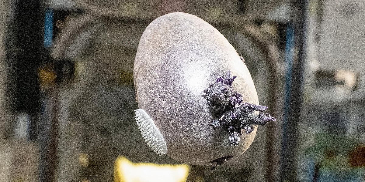 Astronaut podijelio fotografiju predmeta iz svemirske stanice: Znate li o čemu je riječ?