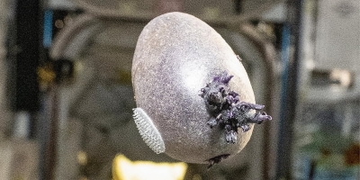 Astronaut podijelio fotografiju predmeta iz svemirske stanice: Znate li o čemu je riječ?