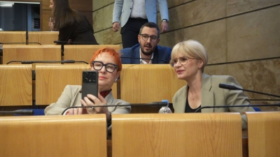 Naša stranka, ulje o platnu: Dok traje raspravi o spašavanju Željezari, delegati NS-a prave selfije