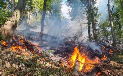 Kiša smanjila broj požara u TK: Vatrogasci intervenisali u Tuzli, Živinicama i Kalesiji