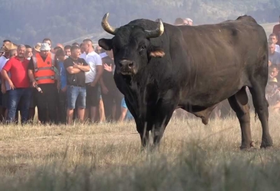 Utvrđen program ovogodišnje manifestacije „61. Kočićev zbor“