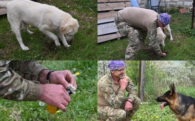 Posao i zadovolljstvo: Haris iz Tešnja obučava pse za pronalazak tartufa