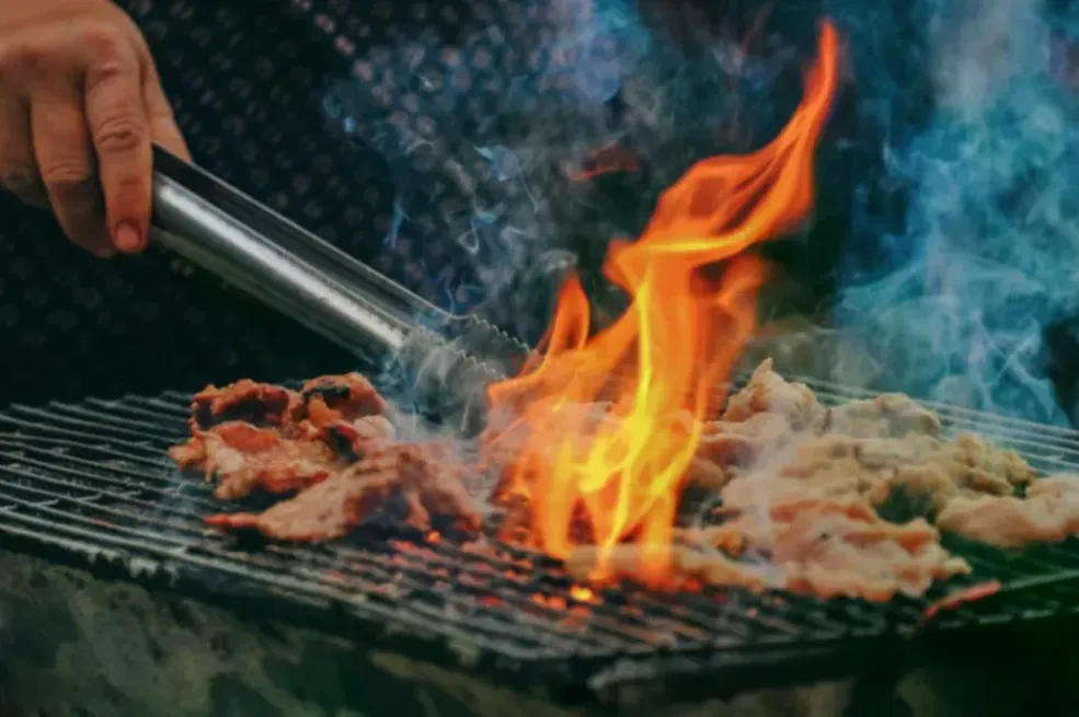 Nema više gledanja kroz prste: Za roštiljanje kazne do 1.500 KM, kontrole širom izletišta