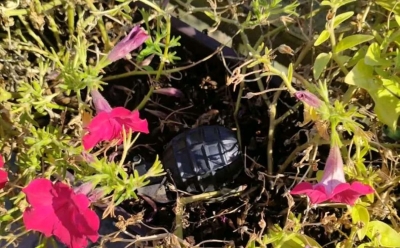 Slučaj u bh. gradu: U saksiji na mostu pronađen predmet za koji se sumnja da je eksploziv