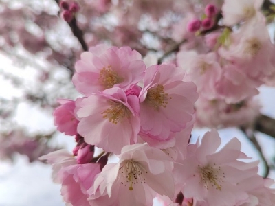 U subotu do 22 stepena