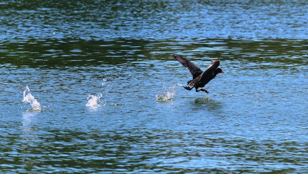 Sunčano i toplo širom Srpske i FBiH: Temperatura danas do 33 stepena, ponegdje moguća slaba kiša