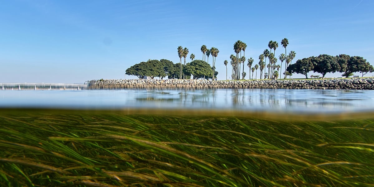 Klimatske promjene brže od evolucije: Naučnici koriste DNK da nadoknade zaostatak
