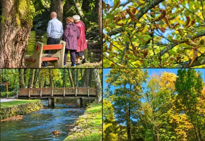 Jesenja razglednica iz Sarajeva: Raskošne boje prirode i oktobarsko sunce privukli posjetioce na Vrelo Bosne