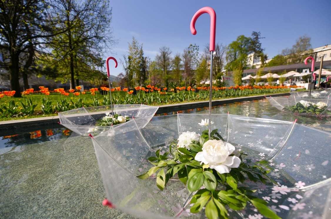 U petak otvaranje Festivala cvijeća u Banjaluci