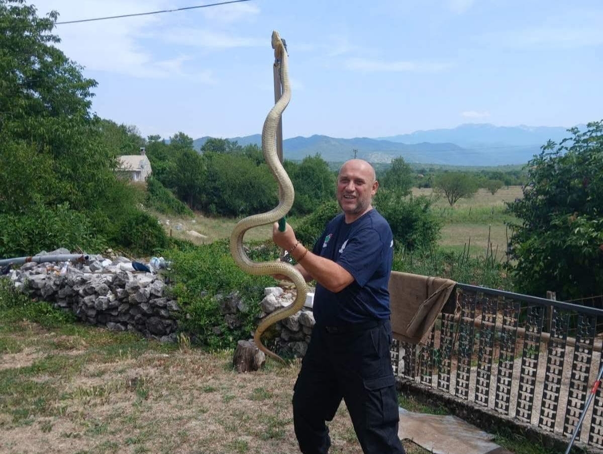 Foto vijest: Mišo na zadatku!
