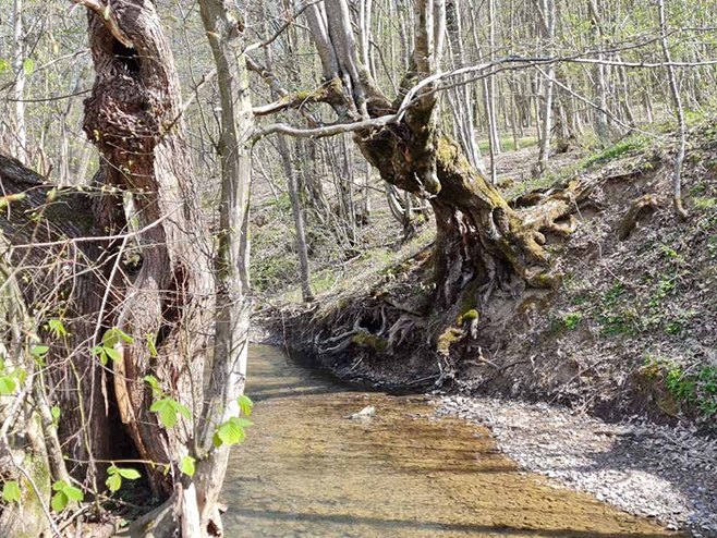 Pretežno sunčano i svježije nego prethodnih dana