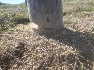 Mještani Podnovlja spriječili sječenje bilborda (VIDEO/FOTO)