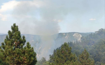 Požar na području Kladnja stavljen pod kontrolu, vatrogasci u TK imali više intervencija